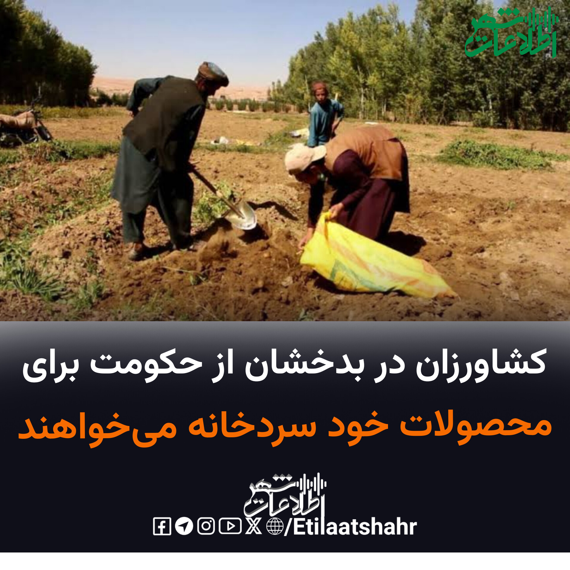 کشاورزان در بدخشان از حکومت برای محصولات خود سردخانه می‌خواهند